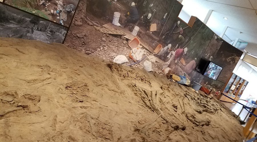 🦕 단바 공룡 화석 공방 치탄노야카타 이미지 1